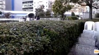 国产福利免费在线观看|欧美色爱综合五月激情|国产呦在线观看欧美V888JAV
